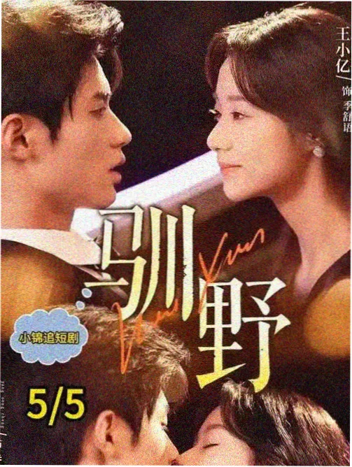 书源复检记录配图